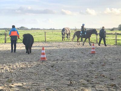 Bildquelle:  | Kstenhof Oldewurtel